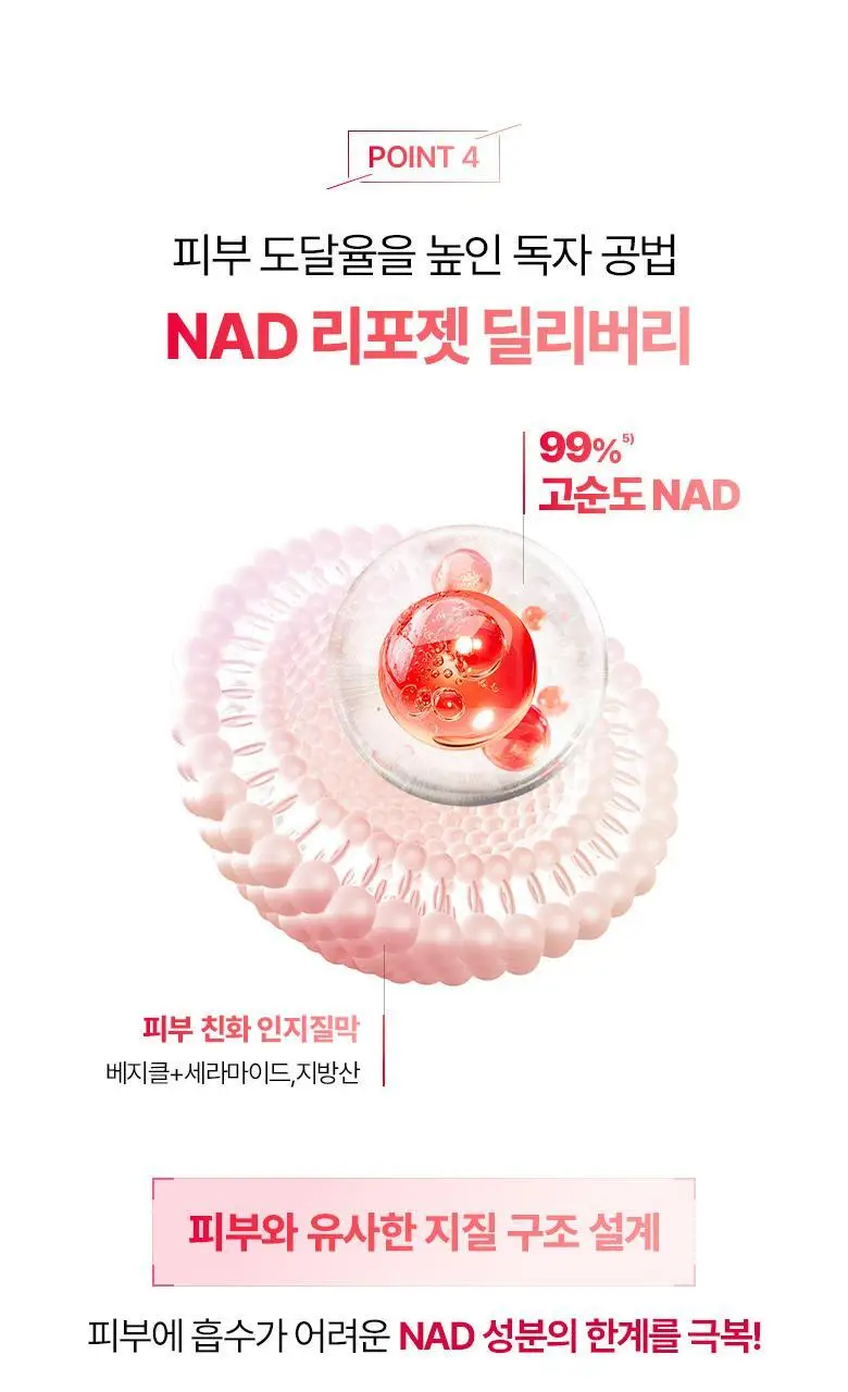 [NAD광채크림]바이오힐보 NAD 프리즈셀 글로우 부스트 크림 50ml [단품] 상세페이지 17